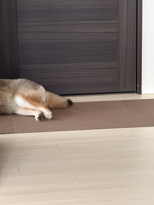 暖かい付き添い、これまで言葉を必要としません。