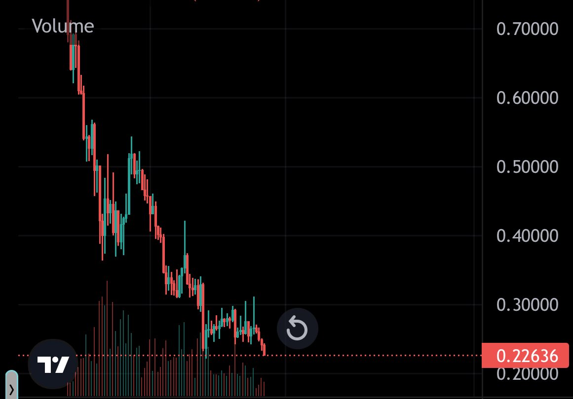 M₳X🟧 tweet media