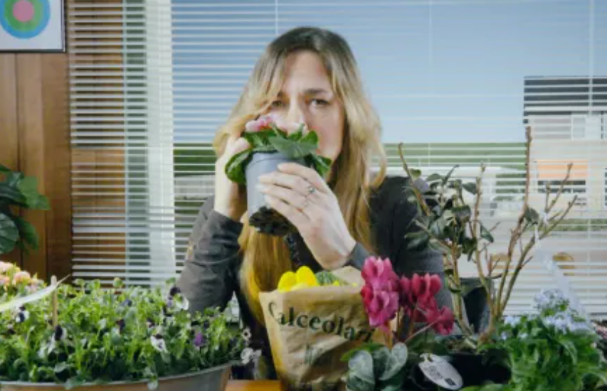 Vanavond om 21.25 uur op NPO 1 gaat het programma Keuringsdienst van Waarde dieper in op het plantenpaspoort. Ze onderzoeken wanneer een plant op reis gaat en waarom. Naktuinbouw werkte mee en is te horen in een telefonisch interview. obi41.nl/4urf4uj7