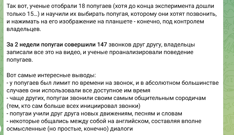 ПОПУГАЙЧИКИ ЗВОНИЛИ ДРУГ ДРУГУ ЧТОБЫ ПООБЩАТЬСЯ КАКИЕ СЛАВНЫЕ МАЛЫШИ НУ ЧТО ЗА ПРЕЛЕСТЬ 😭😭🥺🥺🥺🥺