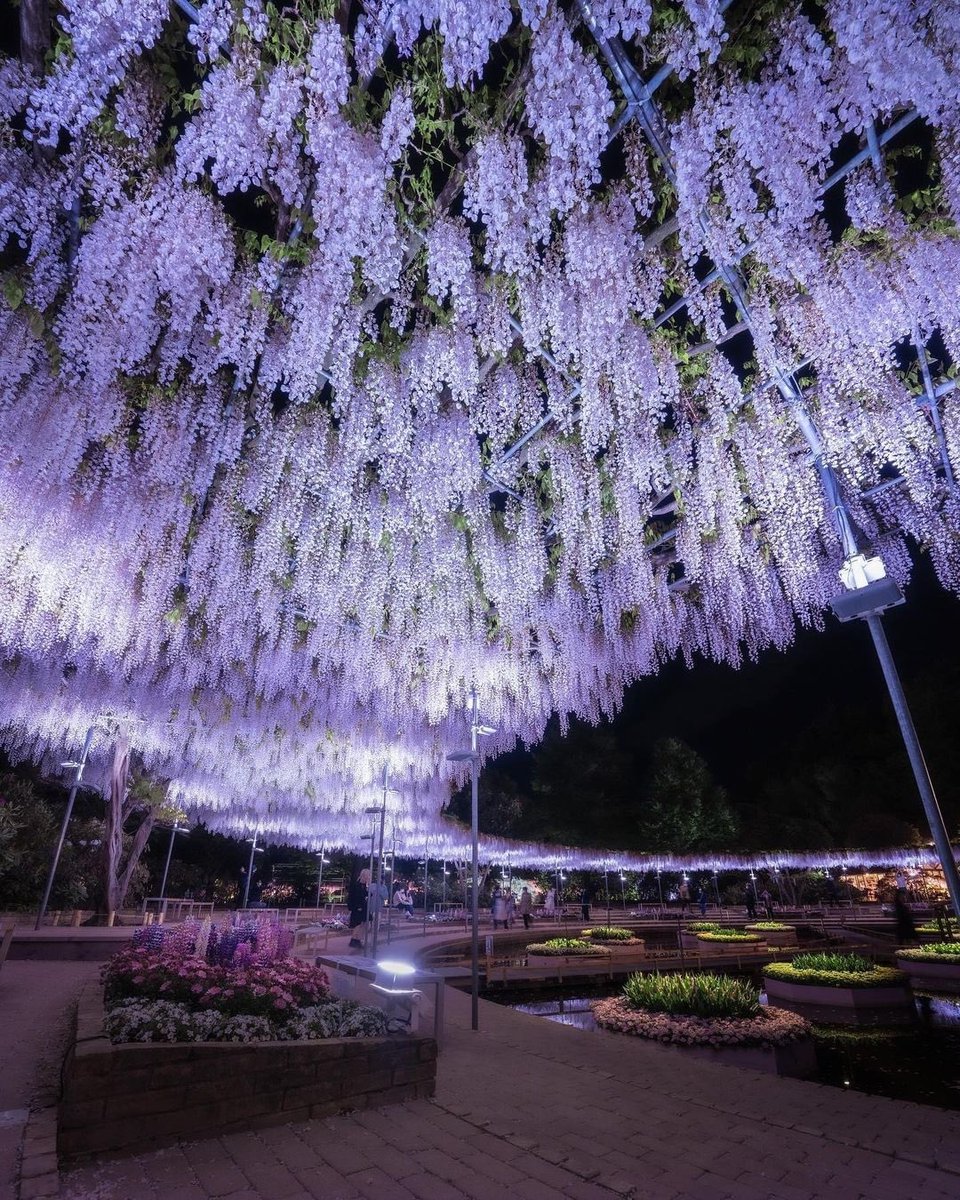 panicmilja's tweet image. Ko hoce da zivi magiju, uvek nadje nacin