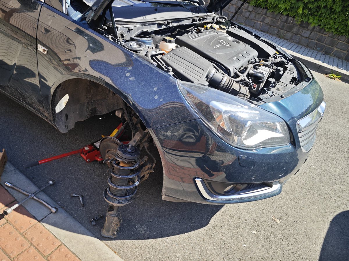 Modřanská kapybara tweet media