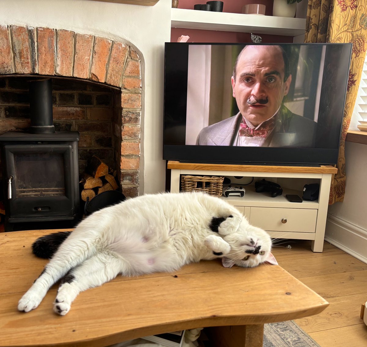 Laura Elliott tweet media