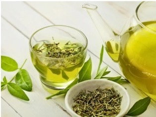 🍵新茶の季節です
知っておいしい、摘んで楽しい。
丹波茶体験90分！
～新茶の茶葉お土産付き～ 

🌿5月23日 金 19〜21時
🌿plug078元町店

詳細↓は神姫バスサイトへ
shinkibus-tour.book.ntmg.com/top/products/3…