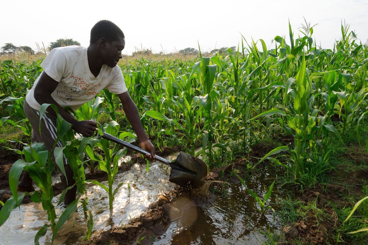 Carbon Brief (@carbonbrief) on Twitter photo Guest post: How climate science is โ and is not โ shaping adaptation planning in southern Africa | <a href="/AilishCraig/">Dr Ailish Craig</a> <a href="/_RachelJames/">Dr Rachel James</a>
Read here: buff.ly/PENpBP7 Guest post: How climate science is โ and is not โ shaping adaptation planning in southern Africa | <a href="/AilishCraig/">Dr Ailish Craig</a> <a href="/_RachelJames/">Dr Rachel James</a>
Read here: buff.ly/PENpBP7