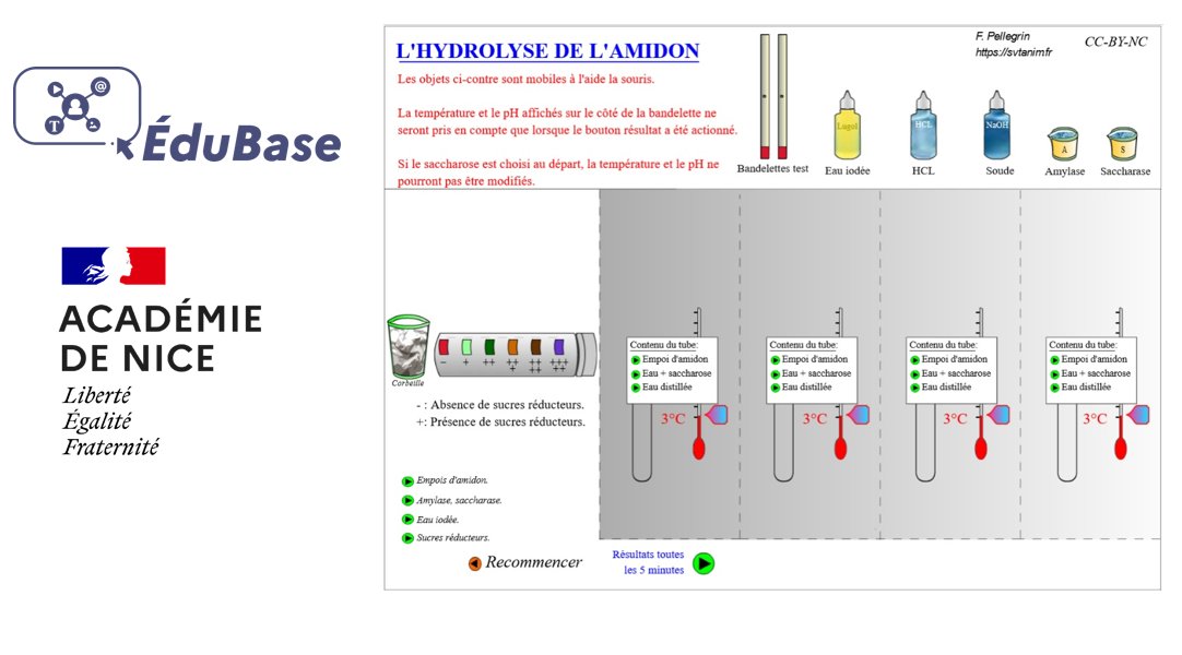 [#Eubase] Retour sur "une application pour simuler la cinétique de l’hydrolyse de l’amidon" par <a href="/AcademieNice/">Académie de Nice</a> 
🔗edubase.eduscol.education.fr/fiche/22604