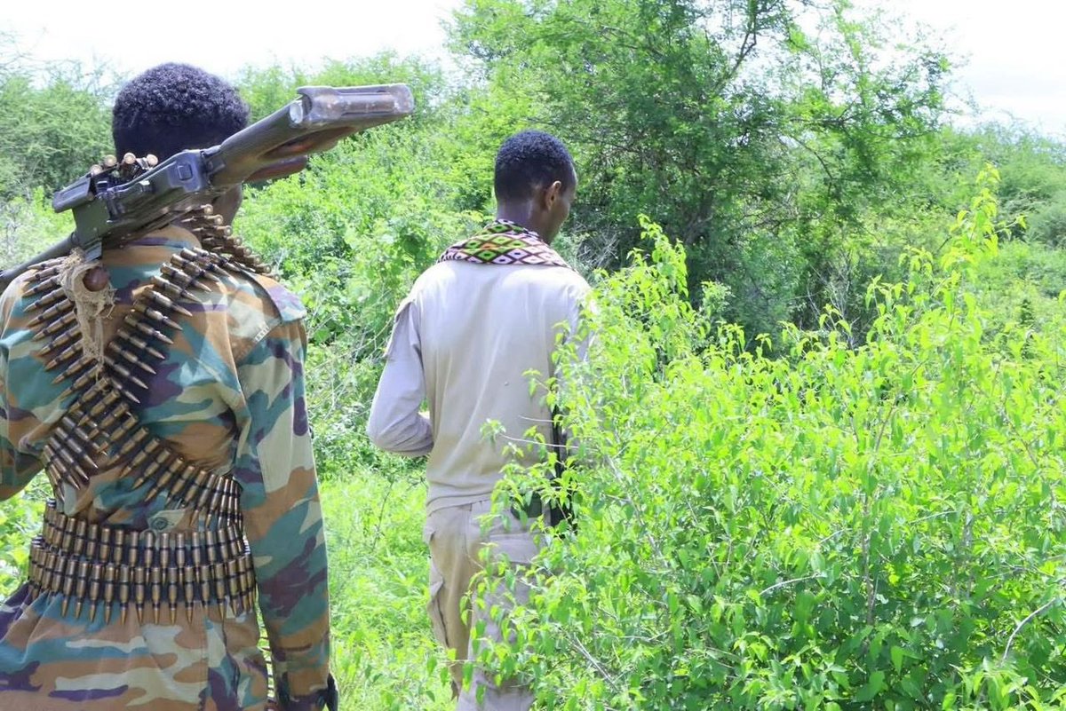 SomaliSignal tweet media