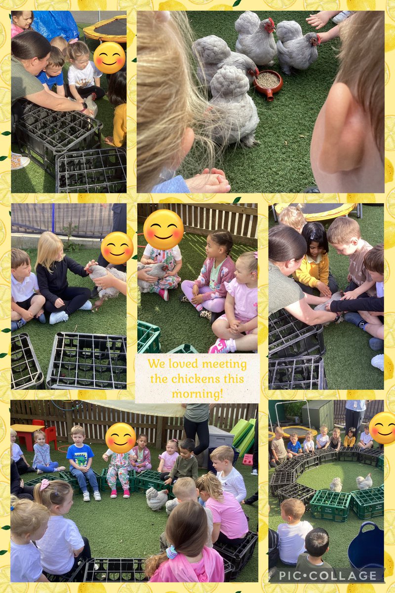 Nursery and NR had some visitors this morning! 🐓🐓🐓🐓 #VPPScience
