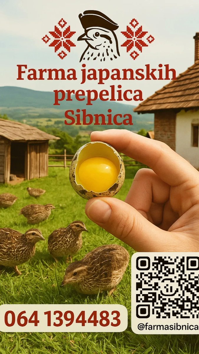EkoFarmaSibnica's tweet photo. Sveža prepeličija jaja na Vašem kućnom pragu, po ceni od samo 10 dinara po komadu!

Vršimo besplatnu dostavu za kupce iz Beograda

#farmaprepelicasibnica
#jajaprepelica #zdravlje #imunitet #krvnaslika https://t.co/BVtccChY1d