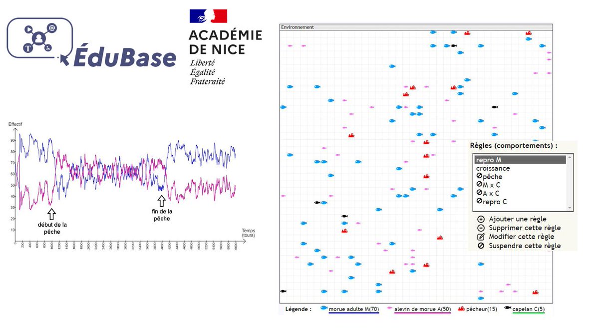 [#Edubase] Modéliser les différentes dynamiques d’un écosystème marin soumis à une perturbation anthropique (surpêche) par <a href="/AcademieNice/">Académie de Nice</a> 
Comprendre la complexité des interactions écologiques et l’importance de la gestion durable des ressources
🔗edubase.eduscol.education.fr/fiche/23355