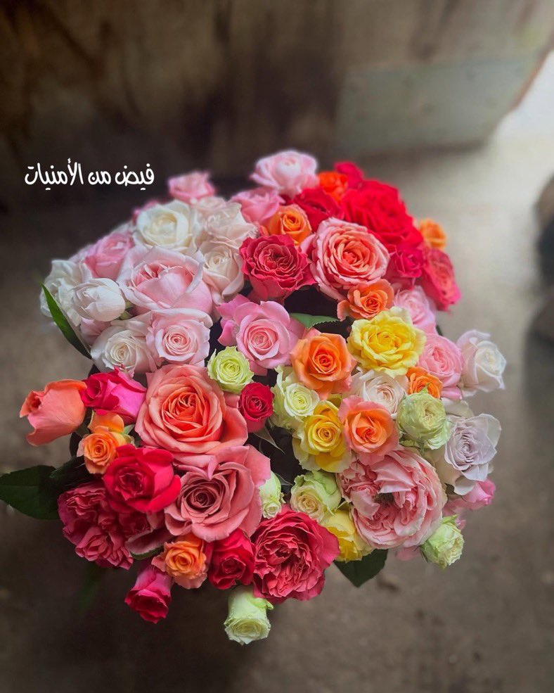 مع الله الخير الكثير يارب