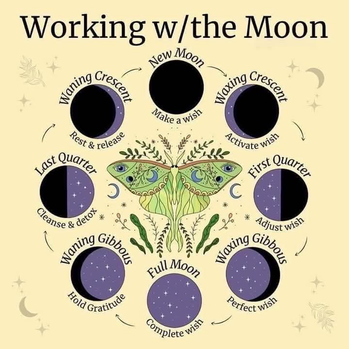 Working with the Moon