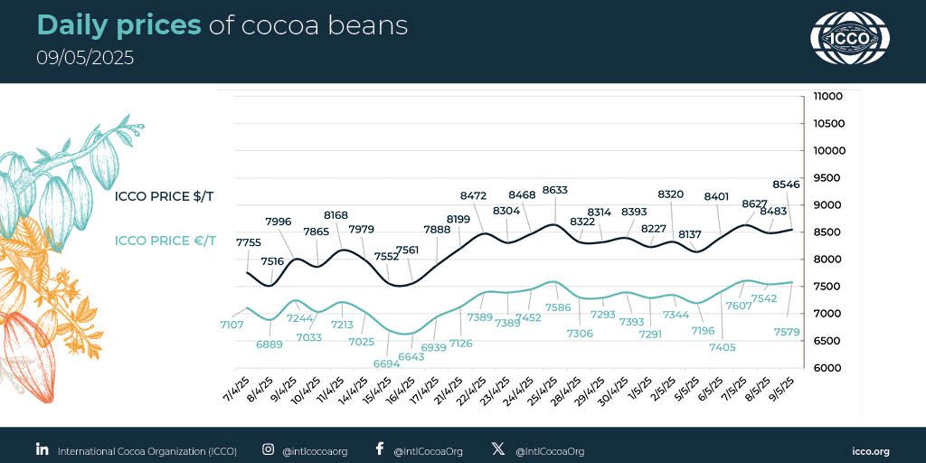 🔴 09/05/2025 #Cocoa Daily Prices - Prix du jour - Precios diarios - Ежедневные цены
 
💵 ICCO daily price - 8545.50 $/T
💶 ICCO daily price - 7579.43 €/T
 
More #cocoa statistical info in our webpage 🔗 buff.ly/lKFtzFk

#ICCOCocoaHub #ICCOCocoaData #ICCOCocoaKnowledge
