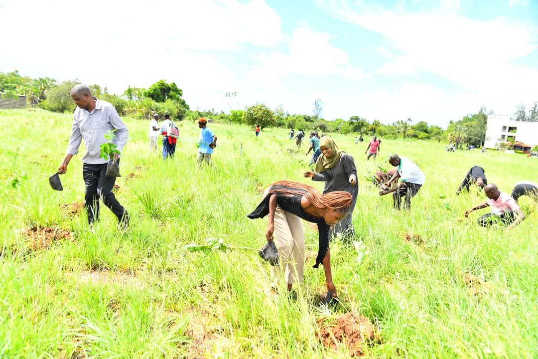 Tum001Ke's tweet photo. This year, the TUM fraternity significantly expanded its tree planting initiative, successfully planting 9,000 trees with the involvement of over 300 participants on the 10th of May. The event was spearheaded by our esteemed Vice Chancellor, Professor Laila Abubakar, along with https://t.co/KMVk6E2nyf