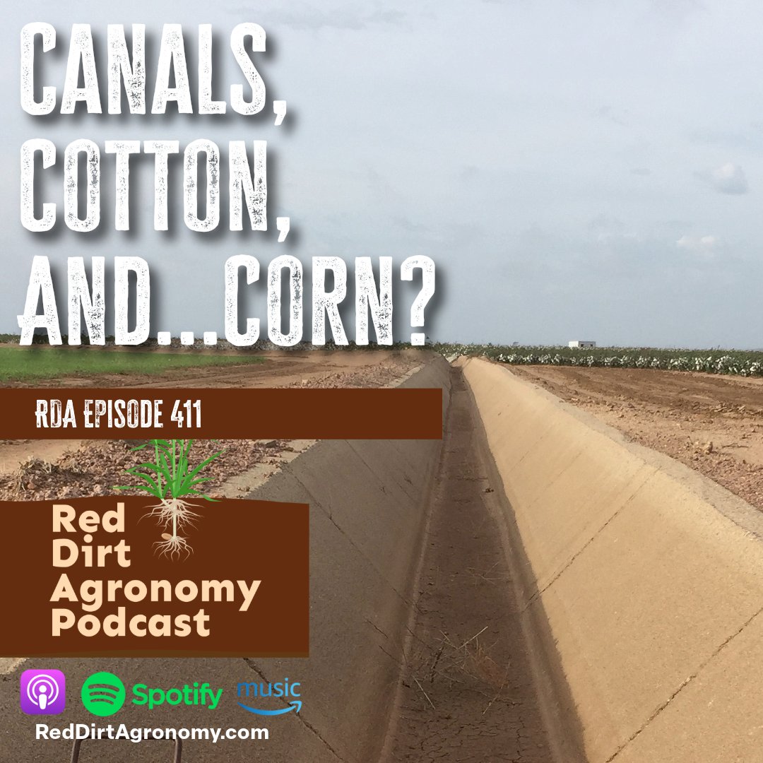RedDirtAg's tweet image. 🎙️ 👉 apple.co/3RWEgpj
Cotton prices are low, pests are changing, and weed resistance is back with a vengeance.
Maxwell Smith shares what growers are up against—and how they’re adjusting.
#OKAg #IPM #WeedScience #AgPodcast #Cotton #Corn