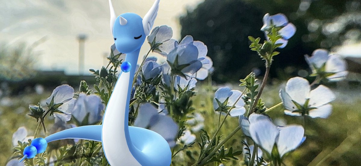 caerleon0327's tweet image. 優しかったり
せつなかったり…
#ポケモンGO
#GOsnapshotCelebration
#GOsnapshot
#ARofTheDay
#らむねたんのARオフ会