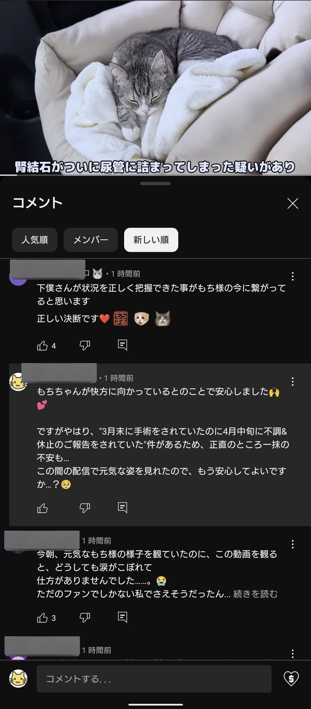 はなざくろ (@hana_zakulo) / X