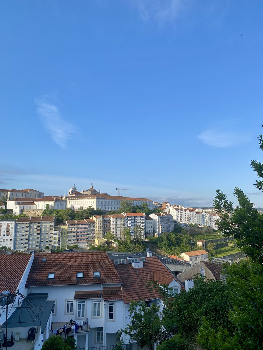 Stéphane Maury (@stephane_maury) on Twitter photo 3rd conference of European Network for Innovative Plant Cloning (<a href="/CopyTree_CA/">CopyTree - CA 21157</a>) Coimbra, Portugal, epigenetic as a major driver of tree regeneration in vitro, with excellent presentation of Elena Carneros (Collaborative work CSIS Madrid And university INRAE Orléans)
<a href="/EpicatchS/">Epicatch CA 19125</a> 3rd conference of European Network for Innovative Plant Cloning (<a href="/CopyTree_CA/">CopyTree - CA 21157</a>) Coimbra, Portugal, epigenetic as a major driver of tree regeneration in vitro, with excellent presentation of Elena Carneros (Collaborative work CSIS Madrid And university INRAE Orléans)
<a href="/EpicatchS/">Epicatch CA 19125</a>