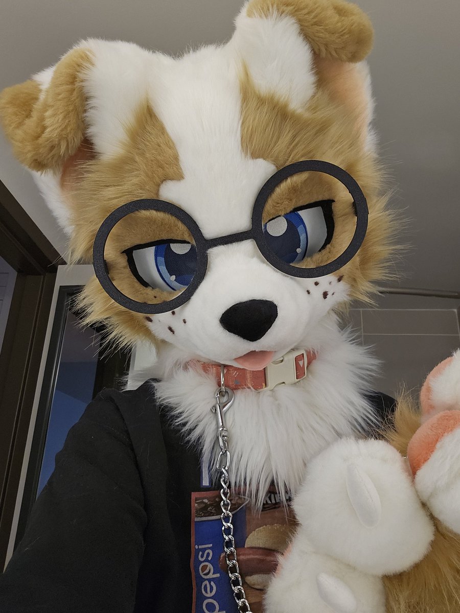 caffebark's tweet image. too much zoomies so they put me on a leash &amp;gt;:(