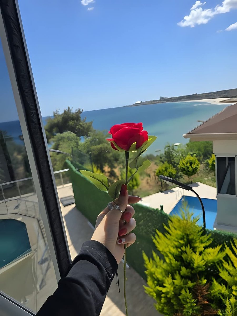 لِأَنْكَ وَرْدَةً، كُلَّ مَكَانٍ تَقِفِينَ فِيهِ يُصْبِحُ حَقْلًا..😁