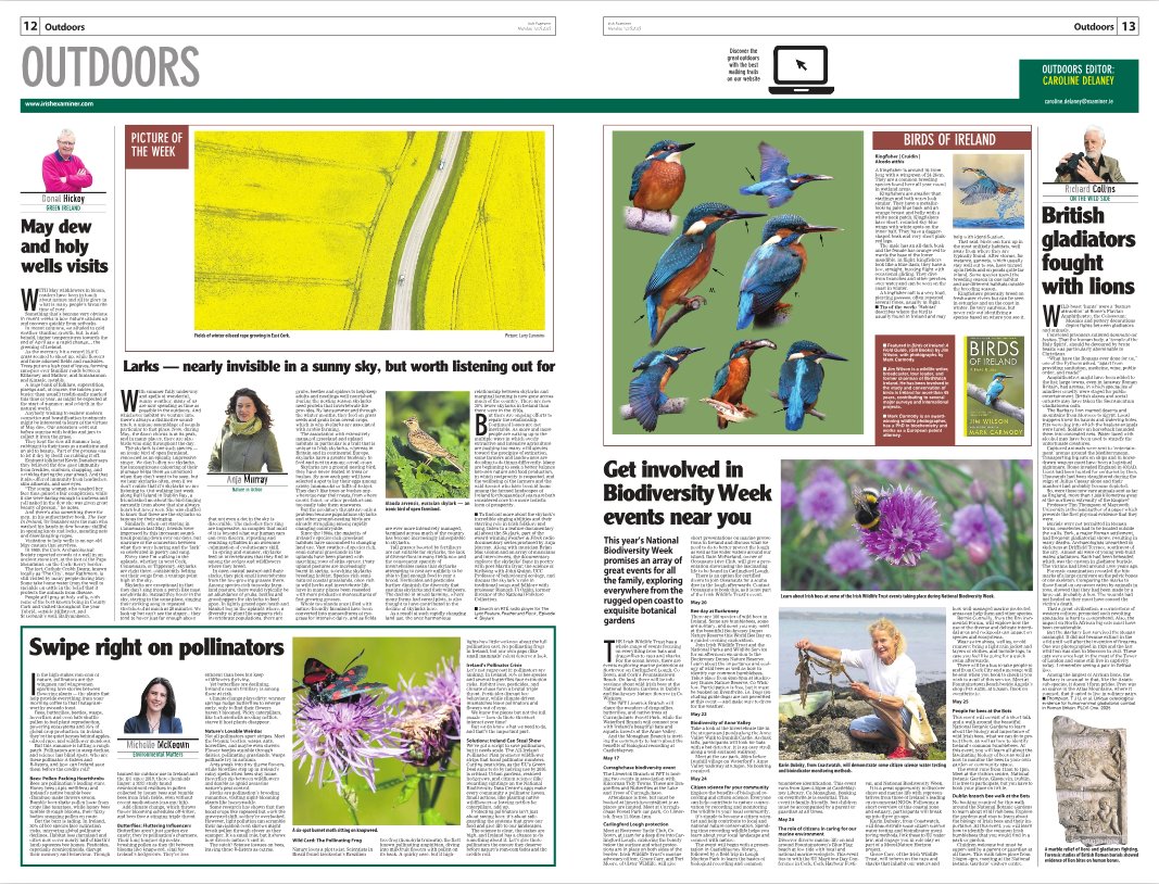 CarDelaney's tweet image. exa.mn/t7z
‣ May dew &amp;amp; holy wells folklore
‣ British gladiators fought lions
‣ Listen out for larks
‣ Pollinators — supporting cast are the real stars 
‣ kingfisher #birdsofireland
📷 East Cork oilseed rape fields
@RushyMountain
@palaeo_mich
@MiseAnja
