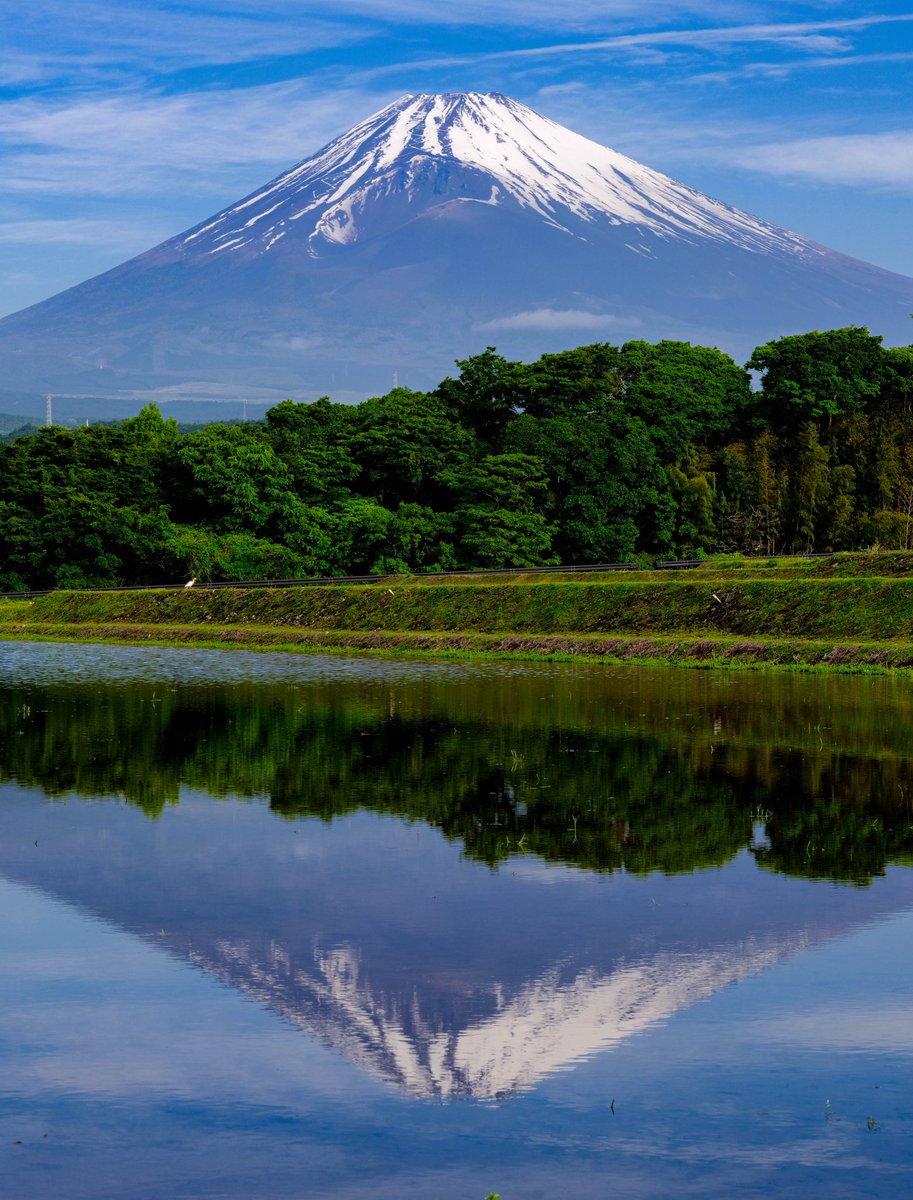 fuji3776m's tweet image. 田んぼと富士山です。素晴らしい光景でした。
マルミ PRIME PLASMA SPUTTERINGTM C-P.Lフィルター使用
マグネットスリムフィルターアダプター使用
#GFX100S
#マルミフィルター
#marumi_filter