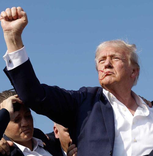 naiivememe's tweet image. "Never selling your Bitcoin " - D.Trump

" If you can't hold, you can't be rich" - CZ