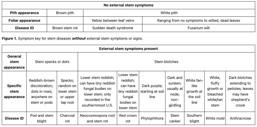 Crop Protection Network (@cropnetwork) on Twitter photo Scouting for soybean stem diseases article from Extension at cropprotectionnetwork.org/publications/s….
<a href="/cropdoc08/">Kiersten Wise</a> <a href="/baldpathologist/">Tom Allen</a> <a href="/cropdisease/">Carl Bradley</a> <a href="/BorisCamiletti/">Boris X Camiletti</a> <a href="/MartinChilvers1/">Martin Chilvers</a> <a href="/DylanMangel/">Dylan Mangel</a> <a href="/febina_m/">Febina Mathew</a> <a href="/dsmuelle/">Daren Mueller</a> <a href="/badgercropdoc/">Damon L. Smith</a> <a href="/AlbertTenuta/">Albert Tenuta</a> <a href="/DTelenko/">Darcy Telenko</a> @W_Webster74 <a href="/travisfaske/">Travis Faske</a> <a href="/MandyBish1/">Mandy Bish</a> +others Scouting for soybean stem diseases article from Extension at cropprotectionnetwork.org/publications/s….
<a href="/cropdoc08/">Kiersten Wise</a> <a href="/baldpathologist/">Tom Allen</a> <a href="/cropdisease/">Carl Bradley</a> <a href="/BorisCamiletti/">Boris X Camiletti</a> <a href="/MartinChilvers1/">Martin Chilvers</a> <a href="/DylanMangel/">Dylan Mangel</a> <a href="/febina_m/">Febina Mathew</a> <a href="/dsmuelle/">Daren Mueller</a> <a href="/badgercropdoc/">Damon L. Smith</a> <a href="/AlbertTenuta/">Albert Tenuta</a> <a href="/DTelenko/">Darcy Telenko</a> @W_Webster74 <a href="/travisfaske/">Travis Faske</a> <a href="/MandyBish1/">Mandy Bish</a> +others