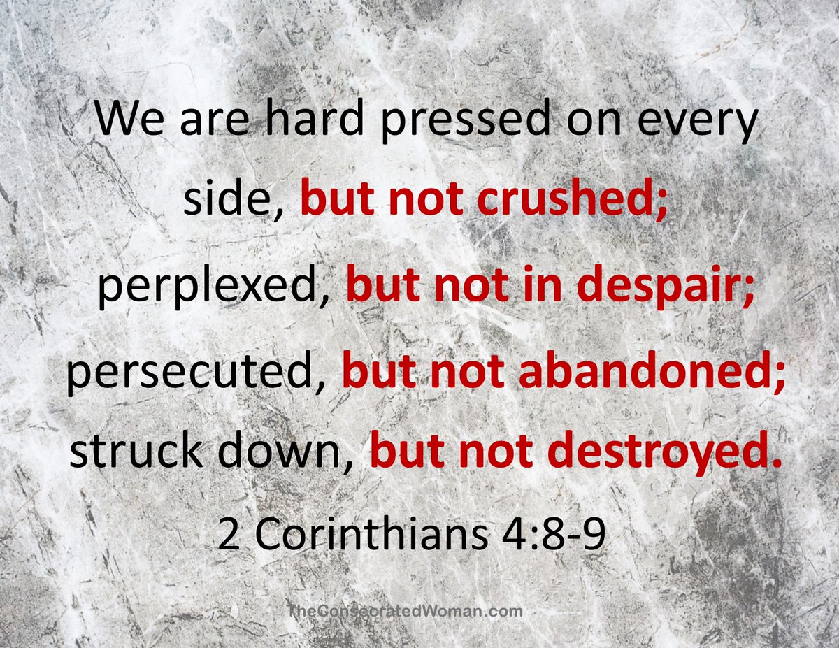RickHaasl's tweet photo. #WOD~2 Corinthians 4:8-9
When we feel hard pressed, perplexed, and persecuted, we need to persevere and believe God anyway. We need to let these feelings build our trust instead of destroying it. We need to believe Romans 8:28. #TYFather 🙏🏼

#Unshakeable #Life101_2025 ⏳ #Fix 💪🏼 https://t.co/pBugw95p8s