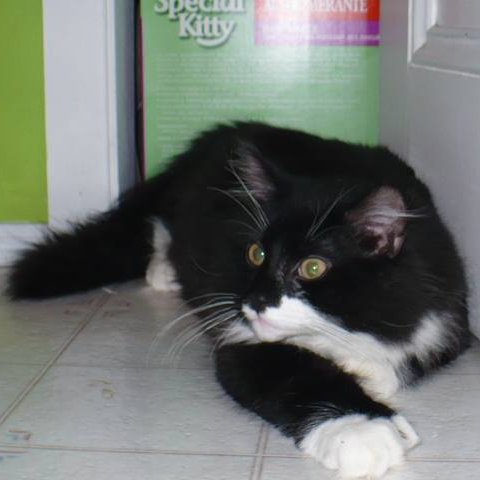 reddy to take on da day
mama goes back to work at da museum today
to start puttin it all in rites for da season openin june 1
i askin her to get some pictures or videos to share wiff yew an maybe a storie too
have a gooder munday mine frends