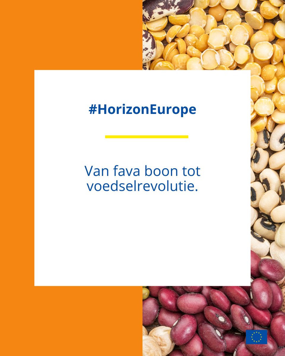 Europese Commissie in Nederland (@euinnl) on Twitter photo Wat als gezonde voeding óók beter is voor de planeet? 🌍Binnen een EU-gefinancierd project werken Nederlandse onderzoekers in het project <a href="/giantleapseu/">GIANT LEAPS project</a> aan nieuwe, plantaardige, eiwitbronnen, zoals linzen en fava-bonen.
Lees er meer over in het artikel:
👉europa.eu/!q399wy Wat als gezonde voeding óók beter is voor de planeet? 🌍Binnen een EU-gefinancierd project werken Nederlandse onderzoekers in het project <a href="/giantleapseu/">GIANT LEAPS project</a> aan nieuwe, plantaardige, eiwitbronnen, zoals linzen en fava-bonen.
Lees er meer over in het artikel:
👉europa.eu/!q399wy