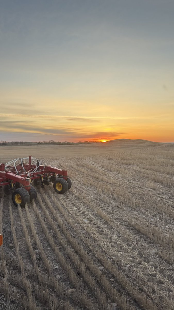 Political bullshit on here is crazy and annoying so let’s just post sunrise and sunset pictures
#plant25