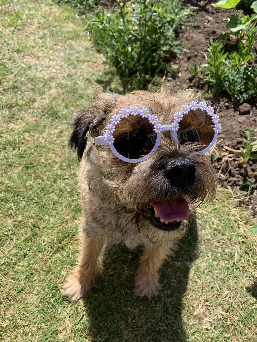 Too cool for skool ! #btposse