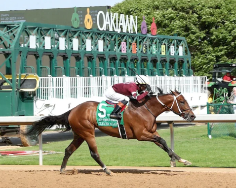 USRacingToday's tweet photo. Preakness Stakes Contender: Clever Again
#PreaknessStakes #CleverAgain #PimlicoRaceCourse
https://t.co/G1FjXIoHtY https://t.co/m8PJR85lRU