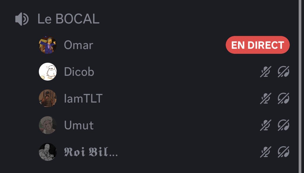 J'ai trop chanté j'crois..