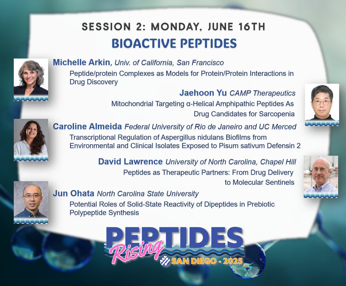 AGENDA HIGHLIGHT Session 2: Bioactive Peptides, the focus on peptide biochemistry continues with talks by Michelle Arkin, Jaehoon Yu, Carolina Almeida, David Lawrence, and Jun Ohata.
aps2025.org
#Peptides2025
