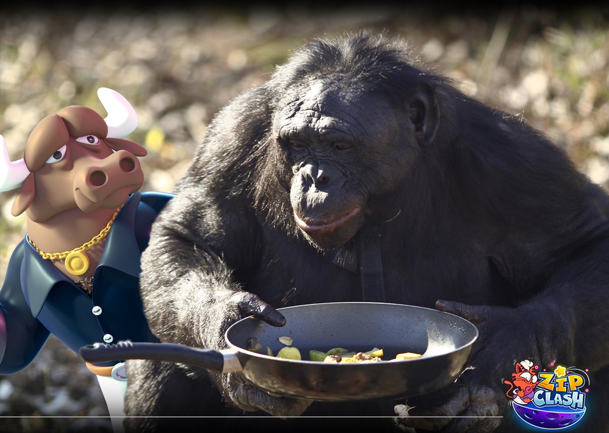 Start the week right 
happy cute Mondays 🐵🐵
#zipclash #cuteMonday
