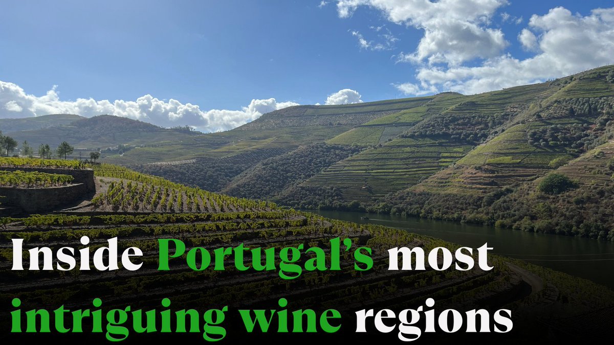 Red wine with a spritz? Grapes you’ve never heard of (if sometimes unpronounceable)? Portugal’s wine scene is full of surprises, and seriously underrated.

Explore the regions, grapes and quirks in our latest guide: bit.ly/4k8ANzS. 🍷🇵🇹