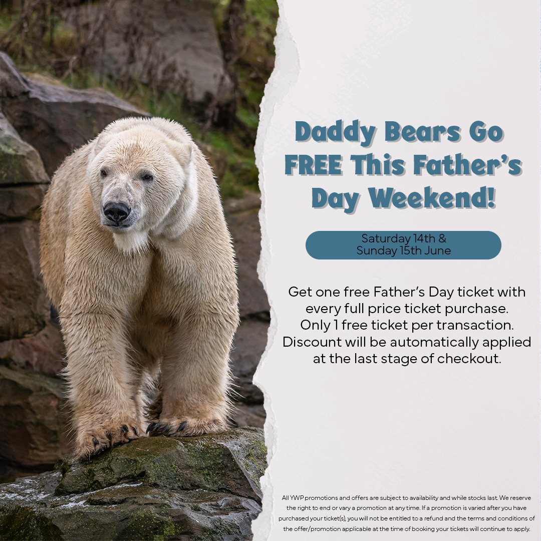 📣🐻‍❄️Daddy’s Bears go FREE this Father’s Day weekend!🐻‍❄️📣

📆 Saturday 14th &amp; Sunday 15th June

Get one FREE Father’s Day ticket with every purchase. Discount will be automatically applied at the last stage of checkout. 

Visit 👉 bit.ly/DaddyBearsGoFr…