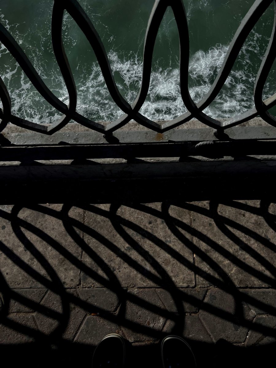 وإني لراضٍ بالقَضا وبما تشاء
وعندي يقينٌ أنَّ لُطفكَ شامِلي.