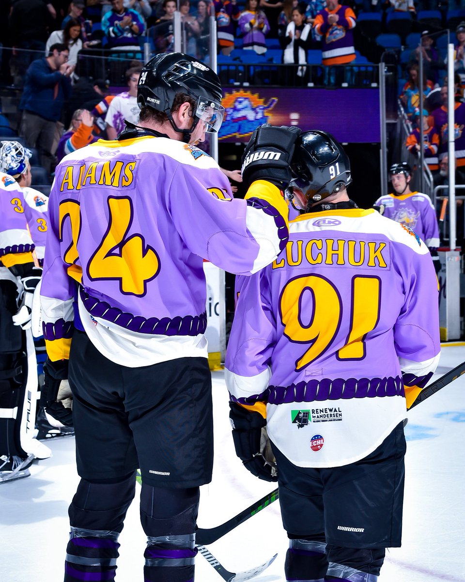 Orlando Solar Bears tweet media