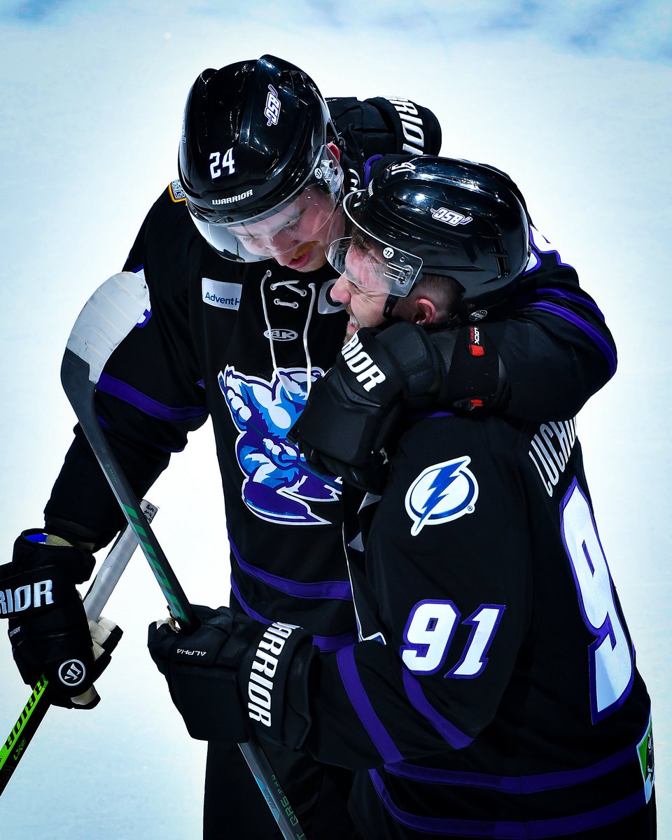 Orlando Solar Bears tweet media