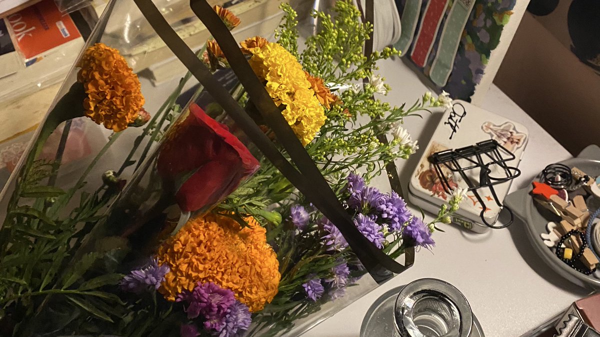 soliloku's tweet image. pov: soliloku camera roll.