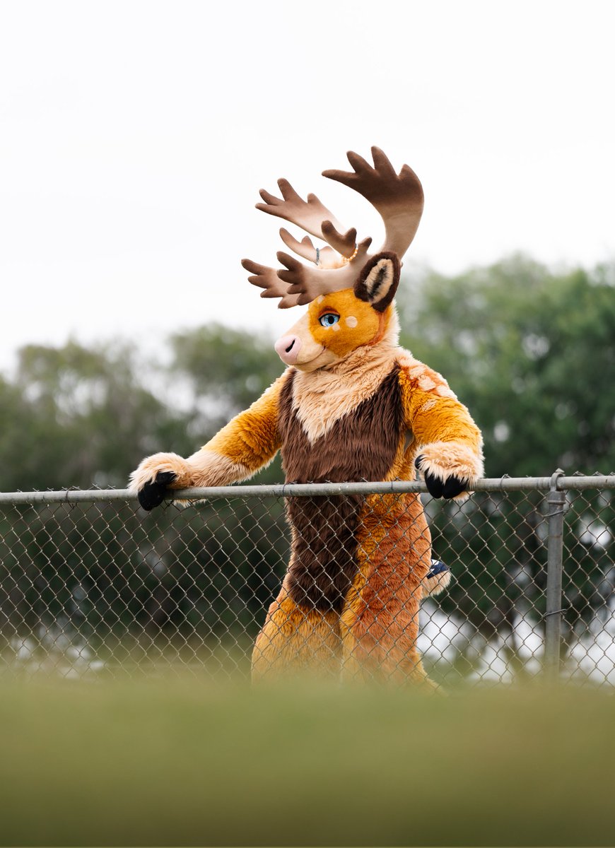 NATIONAL PARK LOVER 🔜 LVFC (@hemlockbou) on Twitter photo H.B.I.C (Head Bou In Charge)
🪡/ <a href="/BNCreation/">BNCreation</a>
📸/ <a href="/_CrowCreations_/">Crow Creations Fur-tography! 🔜 FWA+AC+AFC+FC+TFF!</a> H.B.I.C (Head Bou In Charge)
🪡/ <a href="/BNCreation/">BNCreation</a>
📸/ <a href="/_CrowCreations_/">Crow Creations Fur-tography! 🔜 FWA+AC+AFC+FC+TFF!</a>