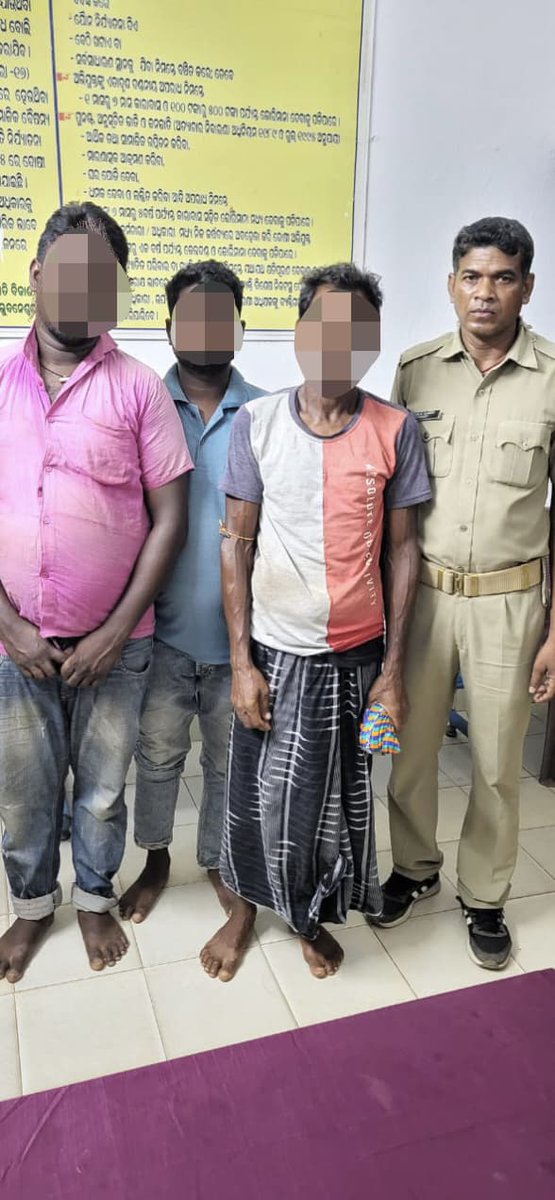 Suliapada police successfully rescued 6 nos. of cattle during illegal transportation at village Chadheigaon. In this connection, 3 accused persons are apprehended and a case has been registered in Suliapada PS.