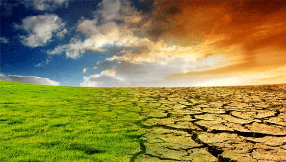 “TERÖRSÜZ TÜRKİYE” BİR HEDEF MİDİR?
toplumcudusunce.com/terorsuz-turki…