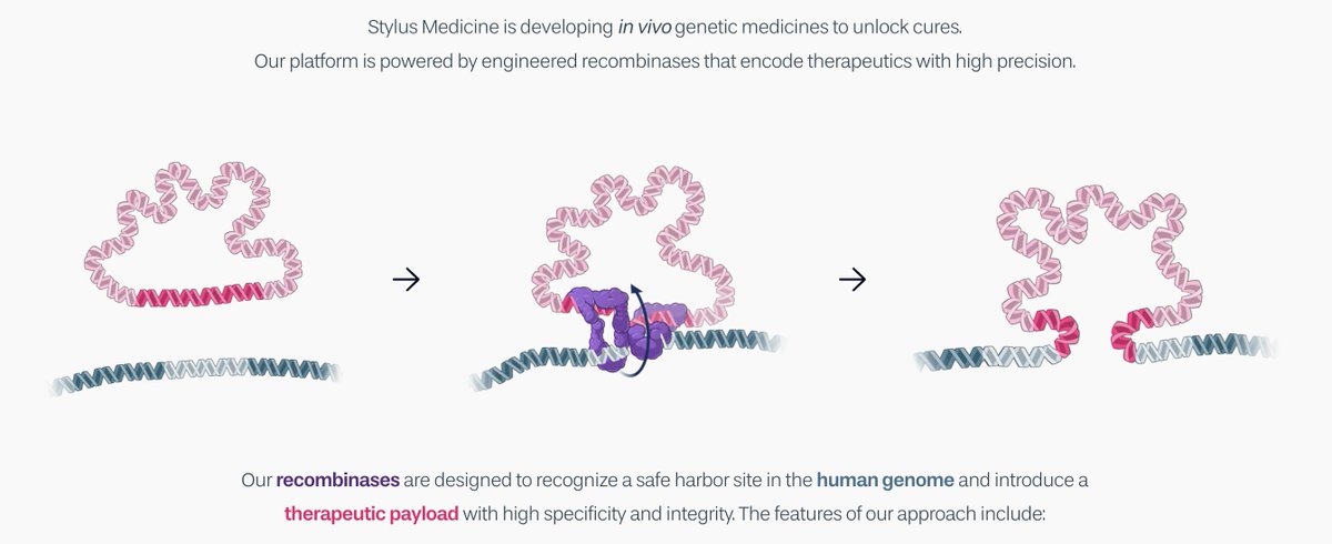 Patrick Hsu (@pdhsu) on Twitter photo Stylus originated from a wonderful scientific collaboration discovering serine DNA recombinases with Ami Bhatt, <a href="/BintuLacra/">Lacra Bintu</a>, and <a href="/MCBassik/">Michael C Bassik</a> spearheaded by star researchers <a href="/mgdurrant/">Matt Durrant</a> <a href="/AlisonFanton/">Alison Fanton</a> <a href="/JoshTycko/">Josh Tycko</a>
A huge thanks also to Cosmas Giallourakis and <a href="/eminkow/">Emily Minkow</a> for their Stylus originated from a wonderful scientific collaboration discovering serine DNA recombinases with Ami Bhatt, <a href="/BintuLacra/">Lacra Bintu</a>, and <a href="/MCBassik/">Michael C Bassik</a> spearheaded by star researchers <a href="/mgdurrant/">Matt Durrant</a> <a href="/AlisonFanton/">Alison Fanton</a> <a href="/JoshTycko/">Josh Tycko</a>
A huge thanks also to Cosmas Giallourakis and <a href="/eminkow/">Emily Minkow</a> for their