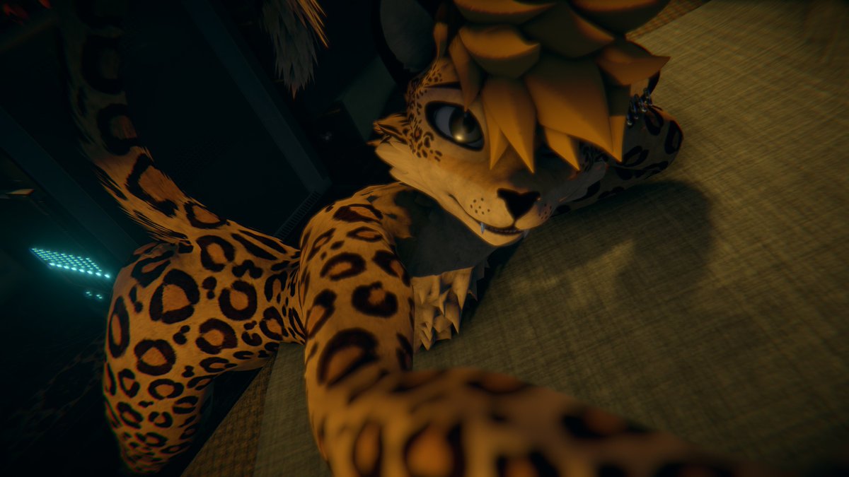 Don’t trust evil kitty they say. Evil kitty: