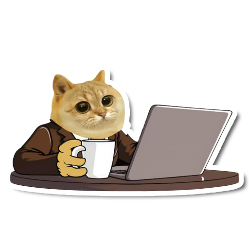 catcoin's tweet photo. 🚀 "Forget rockets, we're strapping $CATCOIN to a jet! Who’s ready to fly?  #Catcoin" https://t.co/Fzaj5D839b