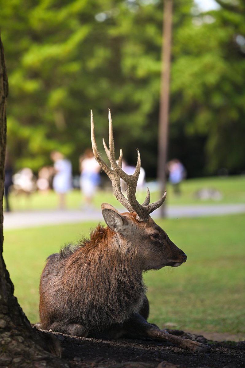 خلف كل صورة جميلة كاميرا نيكون 💛